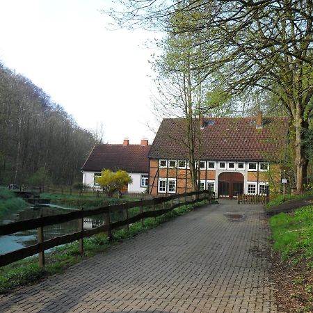 Hoellenmuehle Bed & Breakfast At The Mill Pond Hessisch Oldendorf Kültér fotó