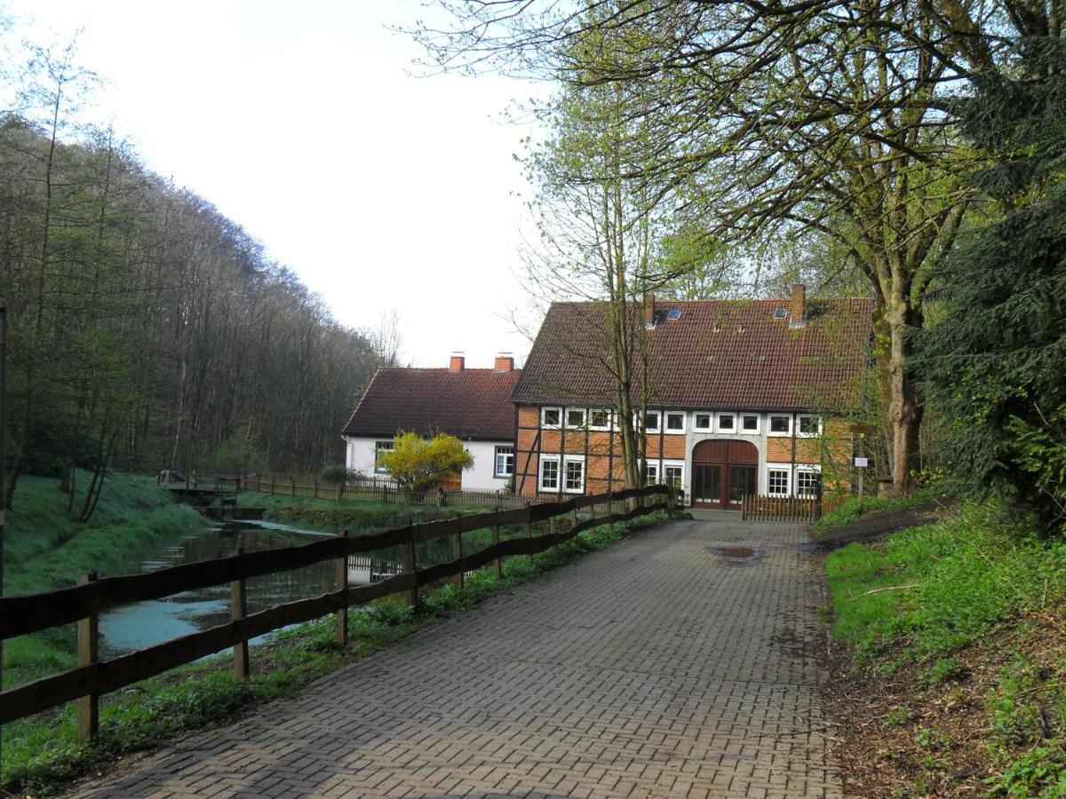Hoellenmuehle Bed & Breakfast At The Mill Pond Hessisch Oldendorf Kültér fotó