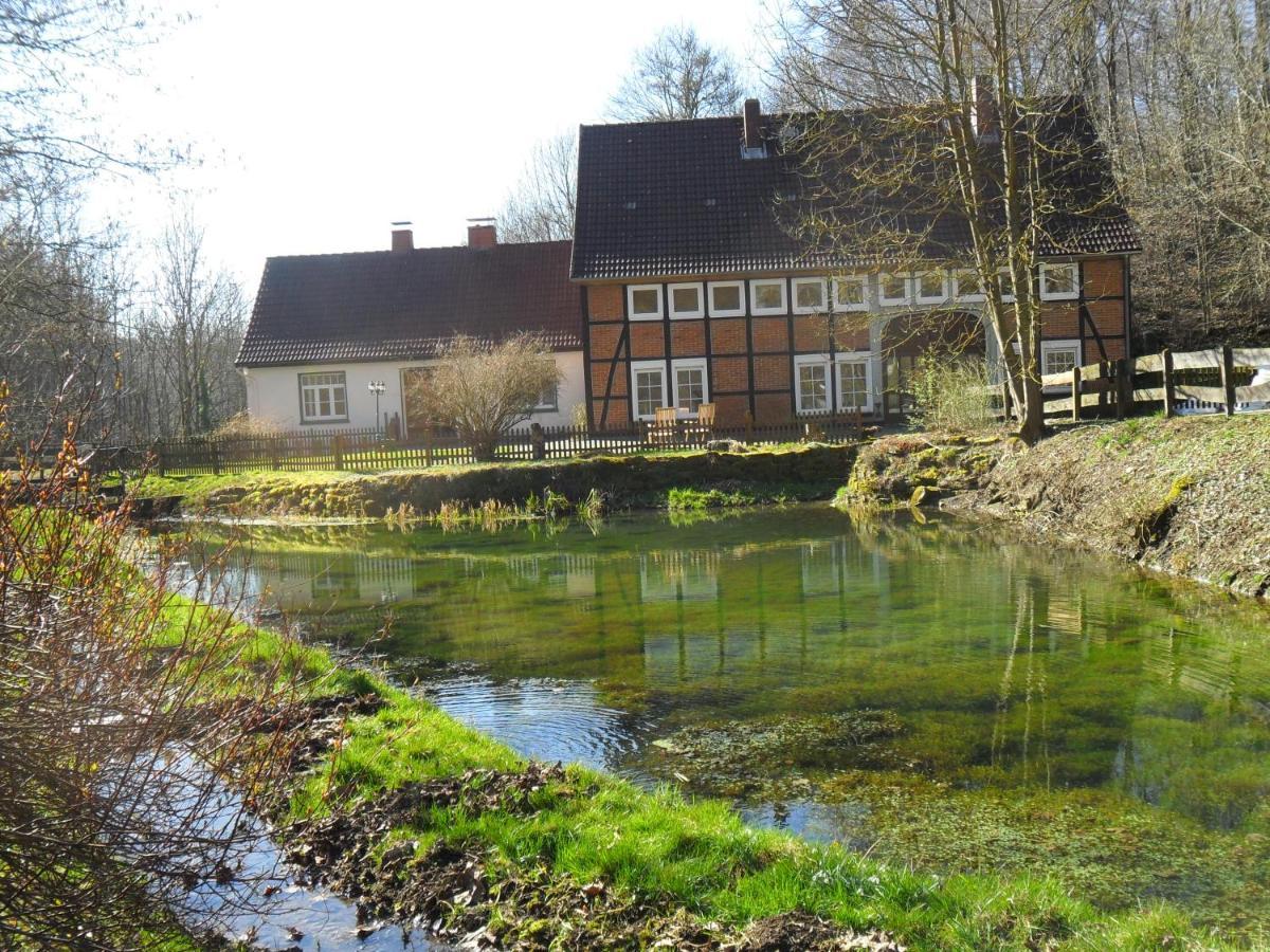 Hoellenmuehle Bed & Breakfast At The Mill Pond Hessisch Oldendorf Kültér fotó